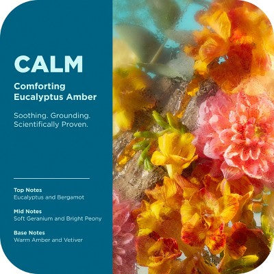 OLLY Calm Mood and Skin Vitamin-Infused Body Wash - Eucalyptus Amber - 17 fl oz: Basic Cleansing, Sulfate-Free, Normal and Dry Skin