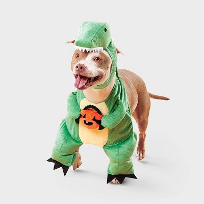 Dino with Pumpkin T-Rex Pail Dog Frontal Costume - Boots & Barkley Light Green M