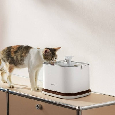Petlibro 3L Dockstream 2 Cordless Cat Automated Fountain - White