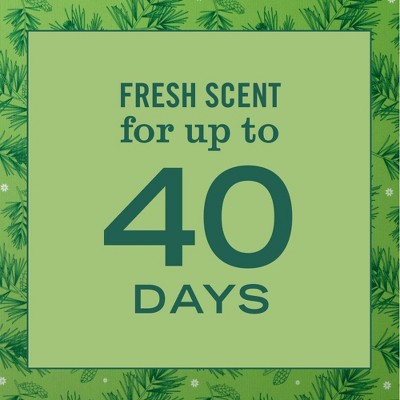 Mrs. Meyer's Clean Day Premium Scented Oil Plug-In Diffuser Air Freshener Starter Kits - Iowa Pine - 1 Warmer + 1 Refill - 0.67 fl oz