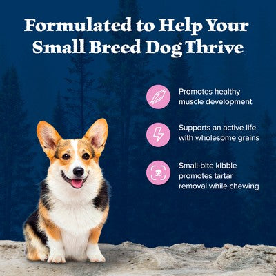 Blue Buffalo Wilderness High Protein Natural Small Breed Adult Dry Dog Food plus Wholesome Grains with Chicken - 4.5lbs