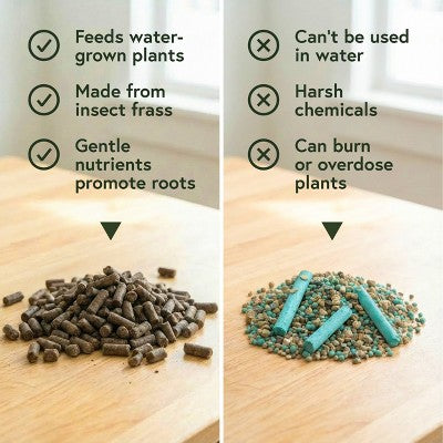 WE THE WILD Propagation Kit Organic Hydro Pellet Plant Food & Premium Glassware Vessel