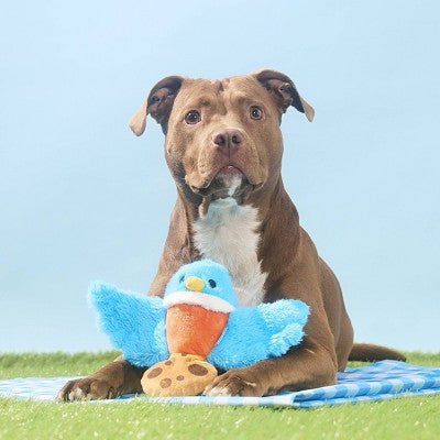BARK Spring Picnic in the Bark Robbin' Robin Dog Animal Plush Toy