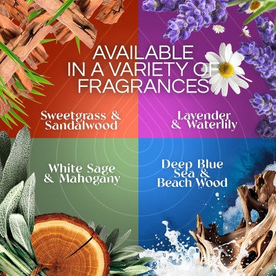 Air Wick Vibrant Plug-in Scented Oil Air Freshener Refills - 4pk: Electric, Floral, Linen, Cotton Scents