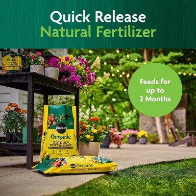 Miracle-Gro Organic Outdoor Mix 3lbs Potting Soil