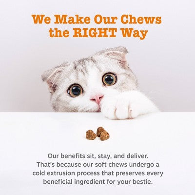 Zesty Paws Bacon Flavor Hairball Bites Cat Treats - 30ct