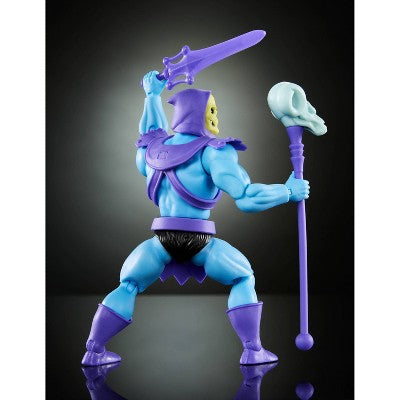 Masters of the Universe Skeletor Cartoon Collection Action Figure
