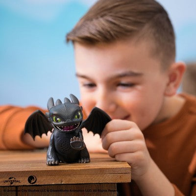 How To Train Your Dragon Mini Interactive Dragon (Styles May Vary)