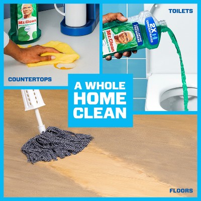 Mr. Clean Dilute Meadows & Rain Multi-Surface Cleaner - 23 fl oz