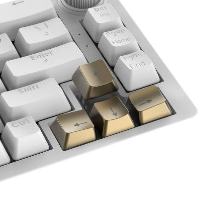 North Key Pack Gold Metallic: PVC Computer Keyboard & Mouse Accessories