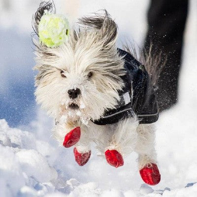 Pawz 12pc Rubber Dog Boots - Red S: Pullover Style, Textile Material, Small Size, Pet Footwear