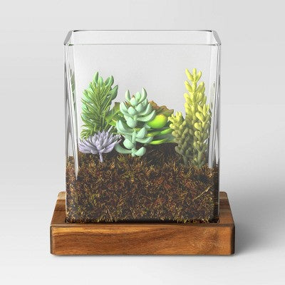 Small Glass Terrarium with Wood Base Rectangular Natural Wood 7.2"x5.24"x8" - Threshold