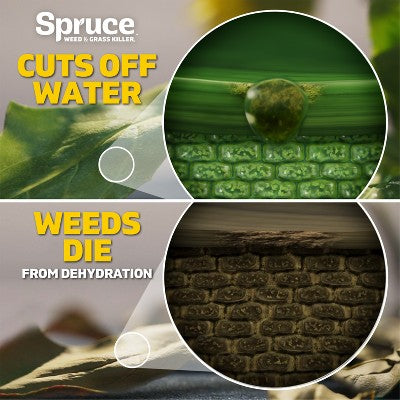 Spruce Weed and Grass Killer Refill 4.25lbs
