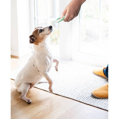 Arm & Hammer Ringers Dental Dog Treats - 5ct