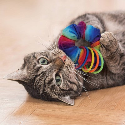 KONG Active Scrunchie Cat Ring Toy