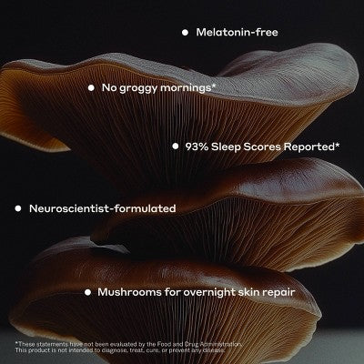 NOON WORLD Sleep Daily Functional Mushroom Gummies - White Tea Berry - 60ct