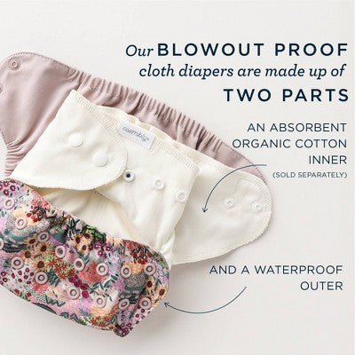 Esembly Cloth Diaper Outer Reusable Diaper Cover & Swim Diaper - Mist - Size 2