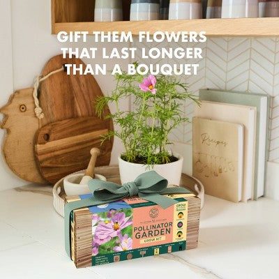 Garden Republic Mini Pollinator Garden Kit