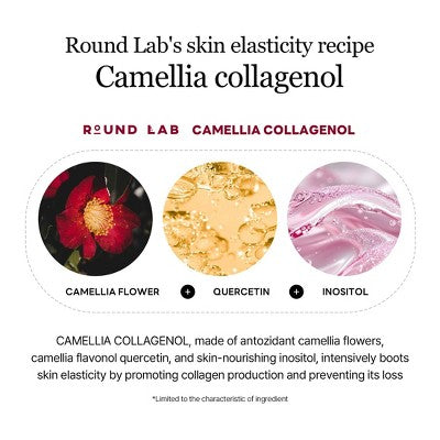 Round Lab Camellia Deep Collagen V Lifting Gel Mask: Brightening, Hydrating, Niacinamide, Normal Skin