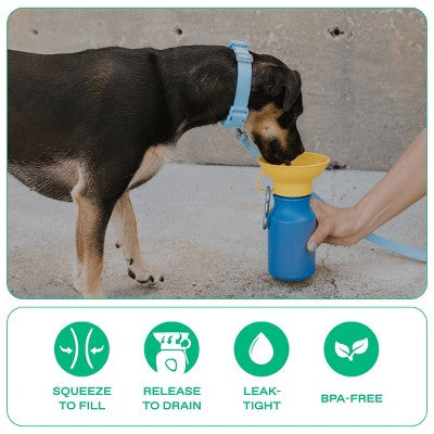 Springland 15 fl oz Mini Travel Dog Water Bottle - Blueberry/Yellow
