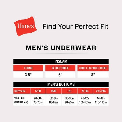 Hanes Men's 3pk Boxer Briefs - Blue/Gray S