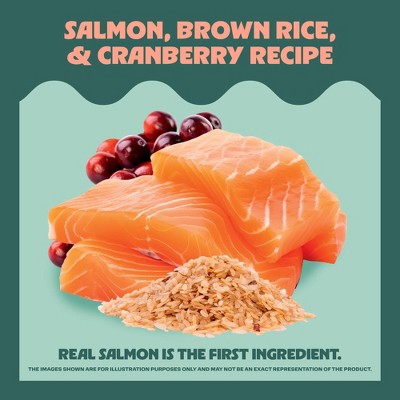 Animal Love High Protein Dry Dog Food with Real Salmon Brown Rice and Cranberry - 5lbs