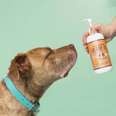 Dog Company Wild Alaskan Salmon Oil - 16oz: Supports Aging, Immune System, Skin & Coat, Joint Health