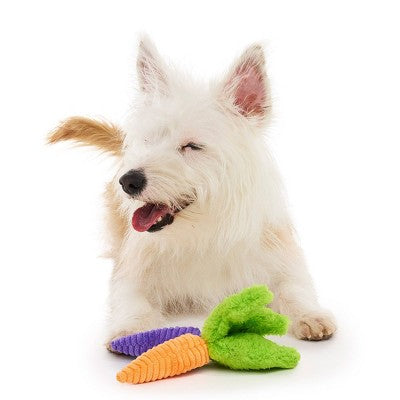 BARK Beg-n-Bag Small Box Dog Plush Toy Set - 5pc
