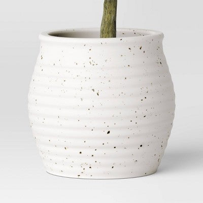12" Olive Artificial Plant - Threshold designed with Studio McGee