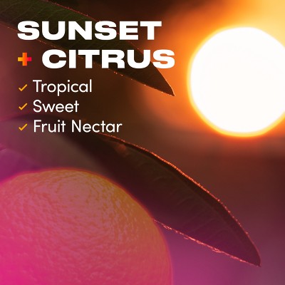 Downy Unstopables Fusions Sunset & Citrus Laundry Additive Beads - 10.7oz