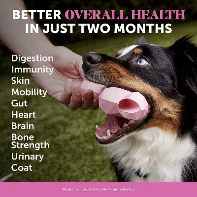 Pet Honesty Multivitamin 10-in-1 Chicken Flavor Supplement for Dog - 60ct