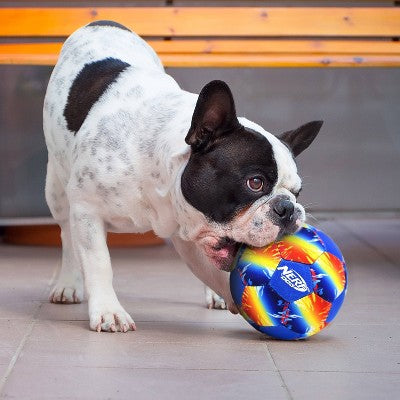 NERF AirTuff Soccer Dog Ball Toy