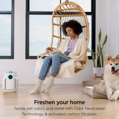 Shark Never Change Air Purifier Mini HP072