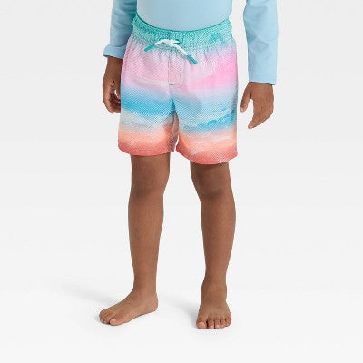 Toddler Boys' Scenic Beach Swim Shorts -Cat & Jack Pink/Blue 4T