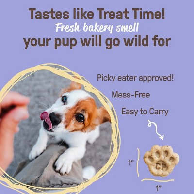 Cookie Pal Blueberry and Pumpkin Soft Baked Human Grade and Organic Dog Treats - 8.8oz