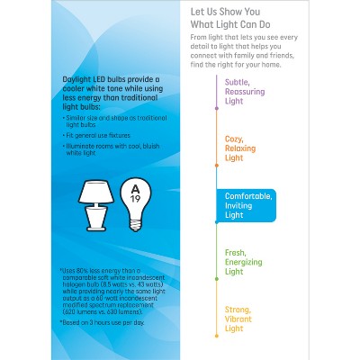 GE 4pk 60W LED A19 Daylight Light Bulbs
