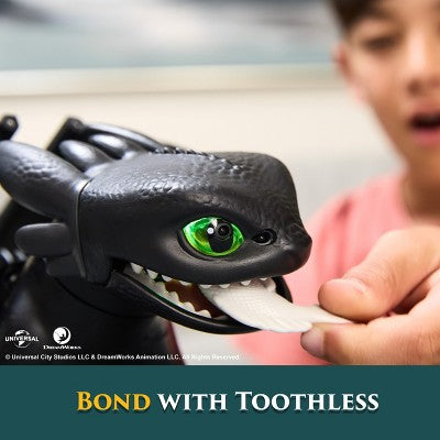 How to Train Your Dragon Tame & Train Interactive Toothless