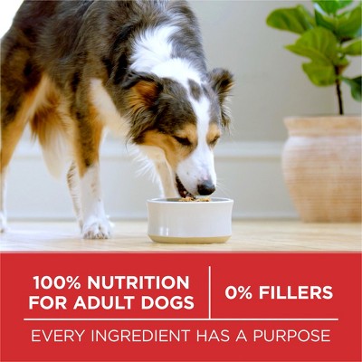 Purina ONE SmartBlend Small Bites Beef & Rice Formula Adult Dry Dog Food - 8lbs