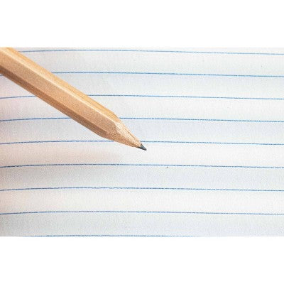 Decomposition Book 7.5"x9.75" 160 Pages College Ruled Spiral Notebook Marshmallow Flower