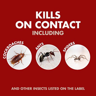 Spectracide Bug Stop Insecticide 32oz