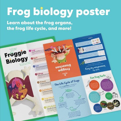 KiwiCo 4" Froggie Dissection Lab Stuffed Animal