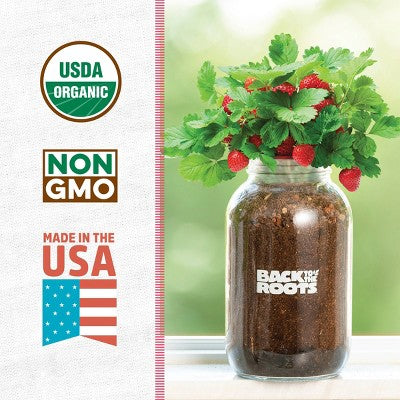 Back to the Roots Organic Strawberry Grow Kit