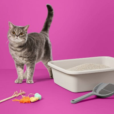 Lightweight Scented Clumping Cat Litter - 13.5lbs - up&up (LOCAL PICKUP ONLY)