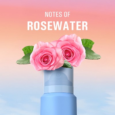 Secret Whole Body Deodorant Spray - Rosewater - 3.5oz