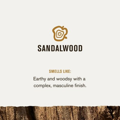 Every Man Jack Men's Recovery Beard + Face Moisturizer Lotion - Sandalwood - 3.2 fl oz
