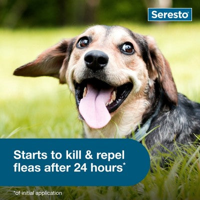 Seresto Flea & Tick Dog Insect Prevention Collar - S: Water-Resistant, All Ages, Pest Repellent, Topical Application