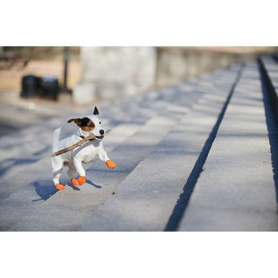 Pawz 12pc Rubber Dog Boots - Orange XS