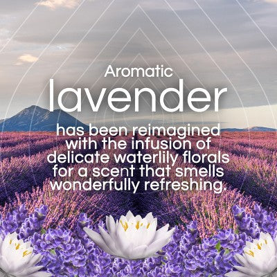 Air Wick Vibrant Plug-in Scented Oil Air Freshener Refills - Lavender & Waterlily - 4pk