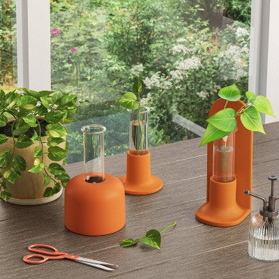 Terracotta Glass Terrarium with Tall Back - Threshold