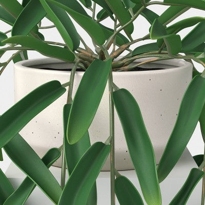 Trailing Leaf Plant - Threshold
